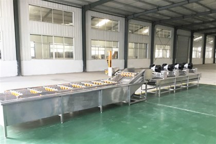 果蔬清洗機的種類有哪些？